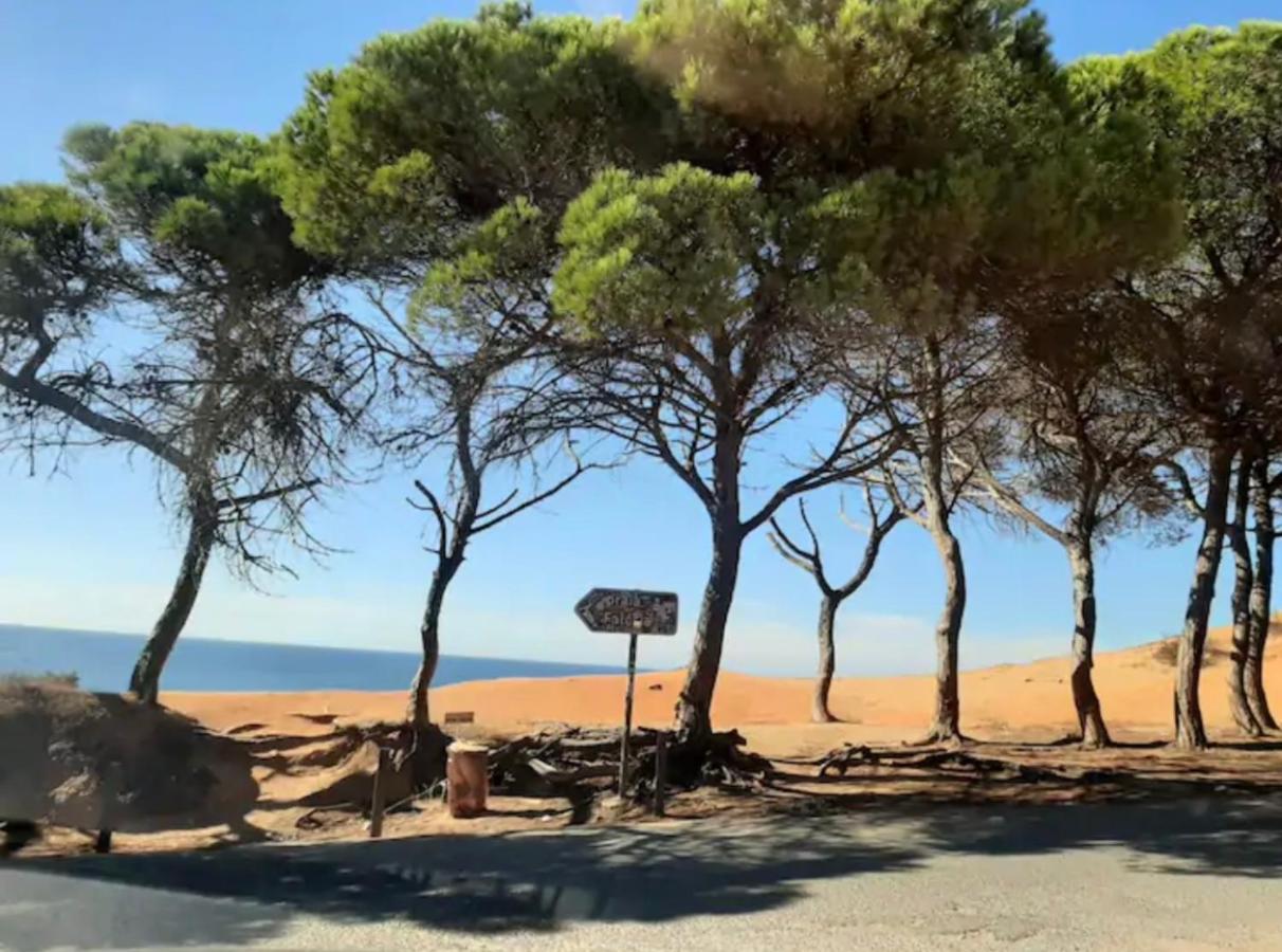 Hébergement de vacances Casa Da Bertha Albufeira